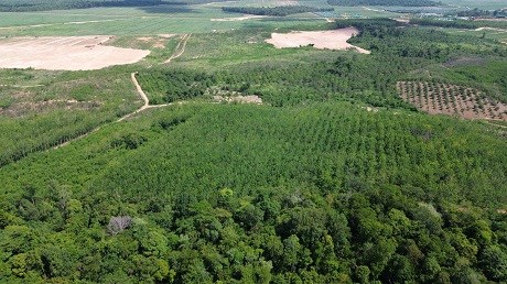 Gia Lai nghiên cứu giao đất cho người dân xã biên giới sản xuất